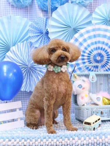 20231123ぷぅくん